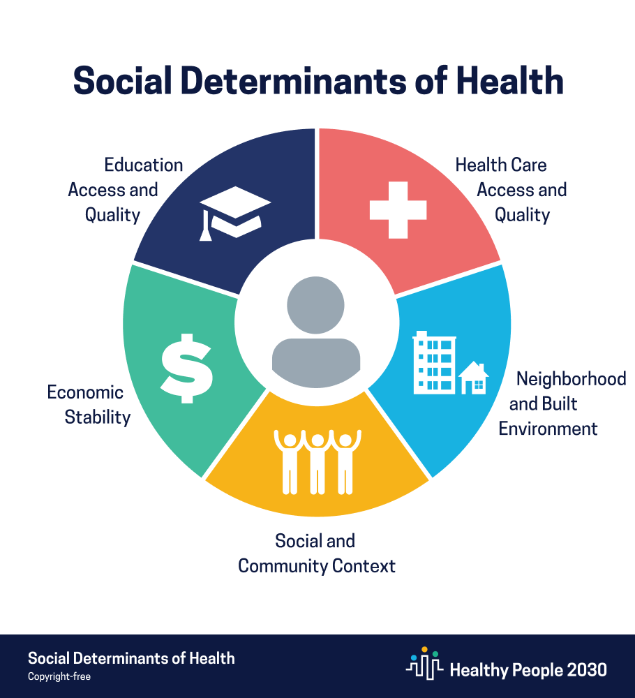Social Determinants of Health Chart Clip art
